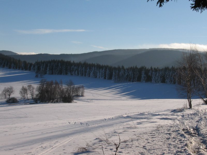 img_7177.jpg