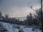 img_7212_small.jpg