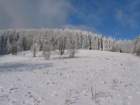 img_7249_small.jpg
