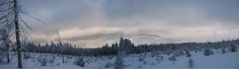 panorama.jpg