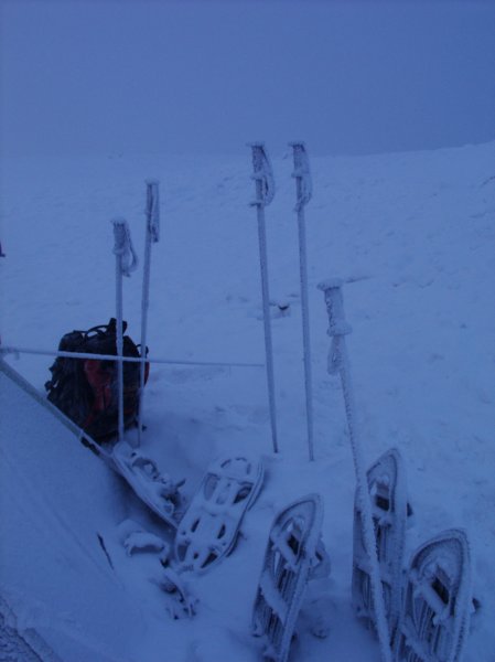 crw_0230.jpg