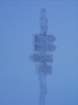 crw_0232_small.jpg