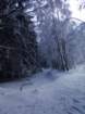 crw_0234_small.jpg