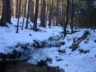 img_0160_small.jpg
